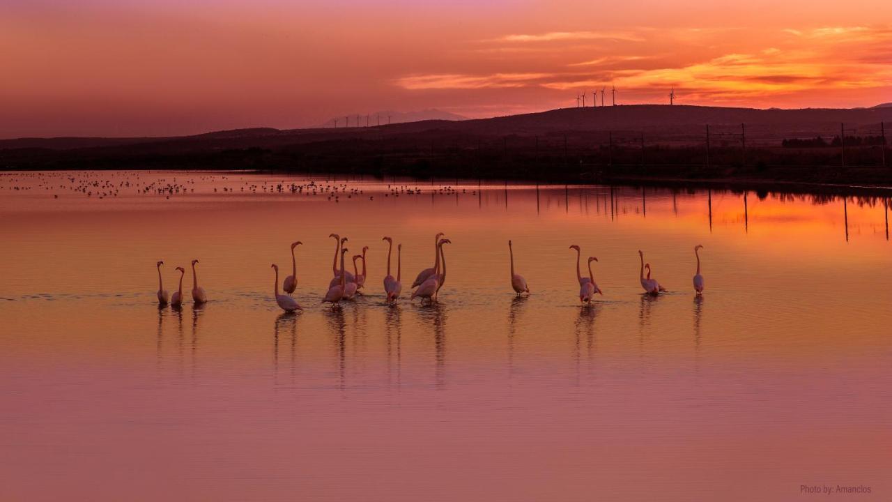 Viglamo Domaine Presqu'Ile De La Franqui Hotel Leucate Bagian luar foto